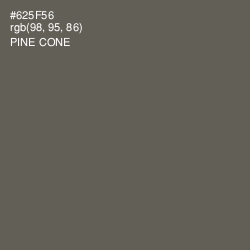 #625F56 - Pine Cone Color Image